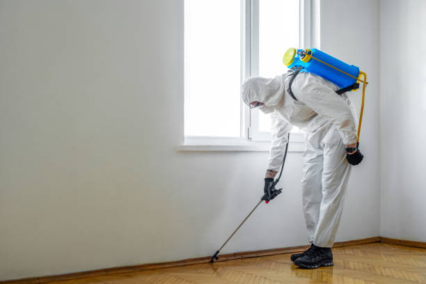 Best Fumigation Services  in Seffner, FL